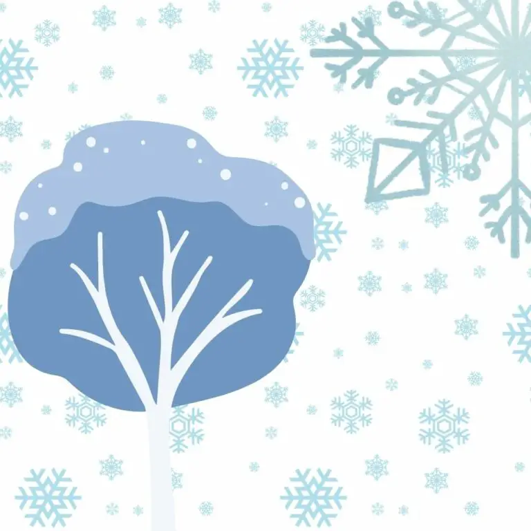 Do Bonsai Need Light And Water In Winter?