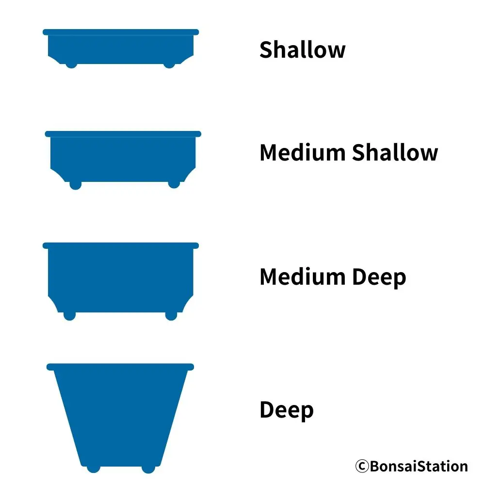 Ultimate Guide To Choosing Mini Bonsai Pot