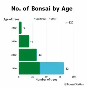 Number of bonsai trees by age/species