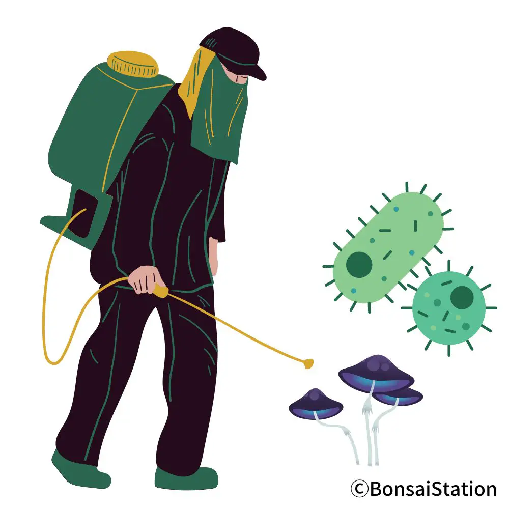 Bonsai Root Rot Causes and Treatment