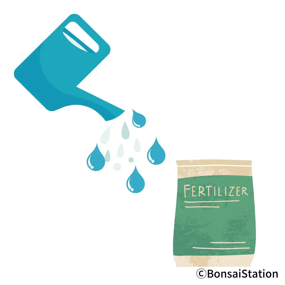 Bonsai Root Rot Causes and Treatment