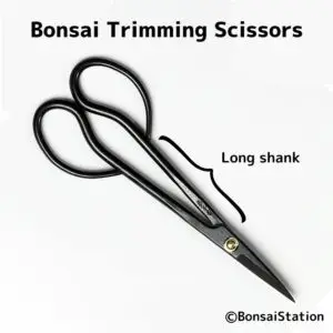 Bonsai trimming scissors (long shank)