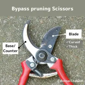 Bypass scissors