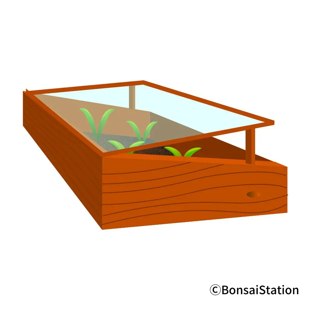 Bonsai Greenhouse Guide To Overwintering