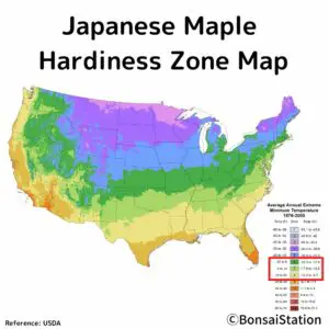 Japanese maple hardiness zone map