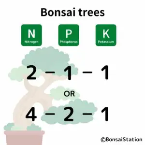 Bonsai Trees NPK ratio
