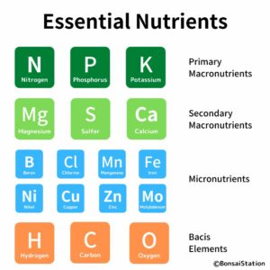 Essential nutrients