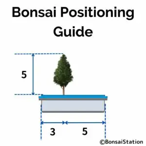 Bonsai positioning guide