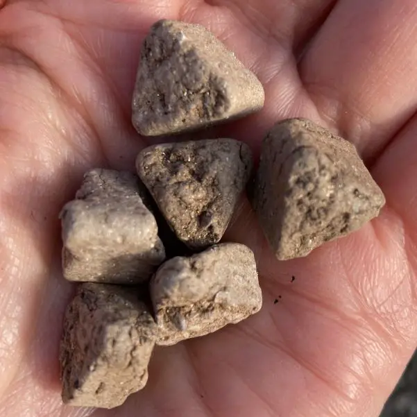 The Best Bonsai Fertilizers To Buy An Expert Guide