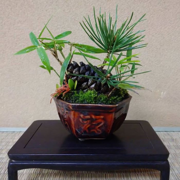 Kusamono Bonsai: The Ultimate Guide