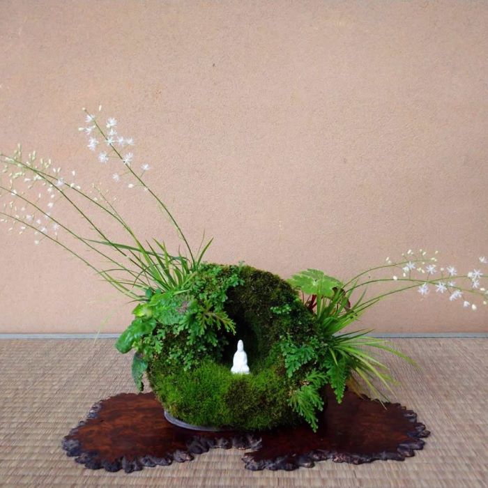 Kusamono Bonsai: The Ultimate Guide