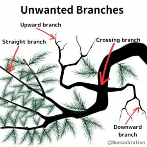 Unwanted branches